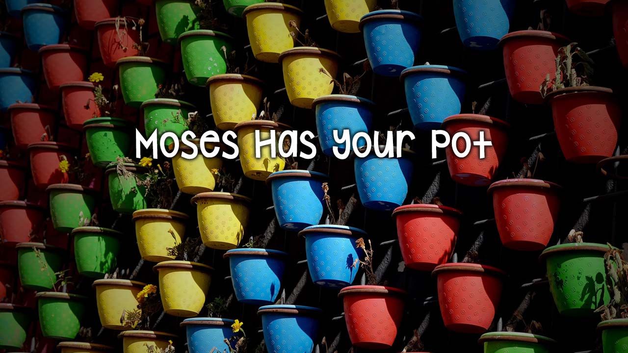 Moses Has Your Pot