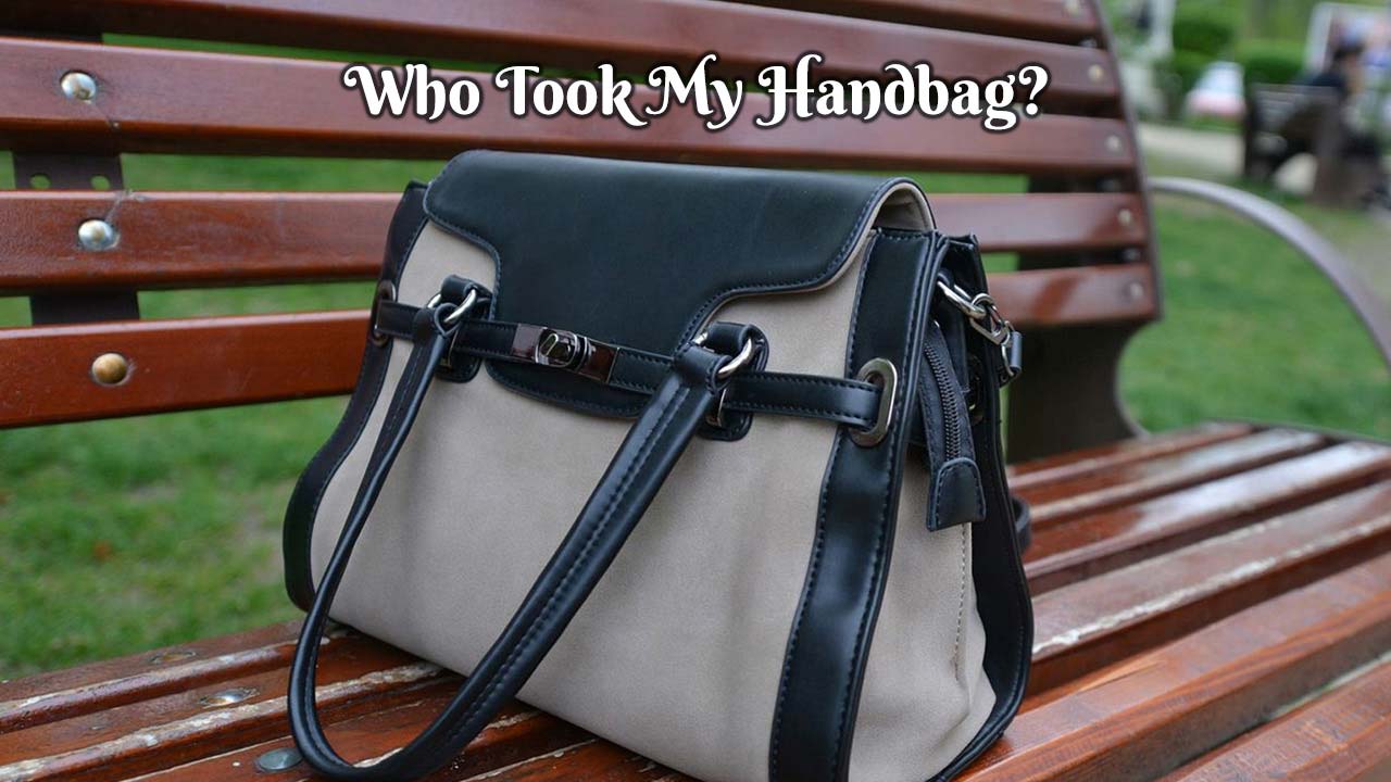 Who Took My Handbag?