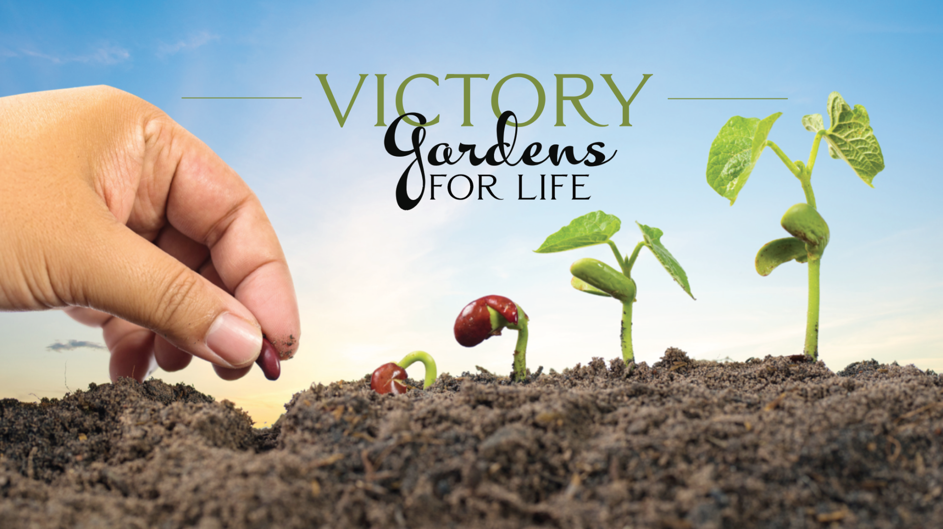 Victory Gardens For Life